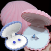 Écrin Bijoux <br /> Coquillage