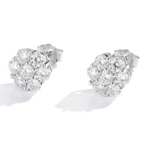 Boucles d'oreilles Pétale éclat de Dana - Diamant Moissanite 💎
