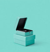 Écrin Bijoux <br /> Le Joaillier